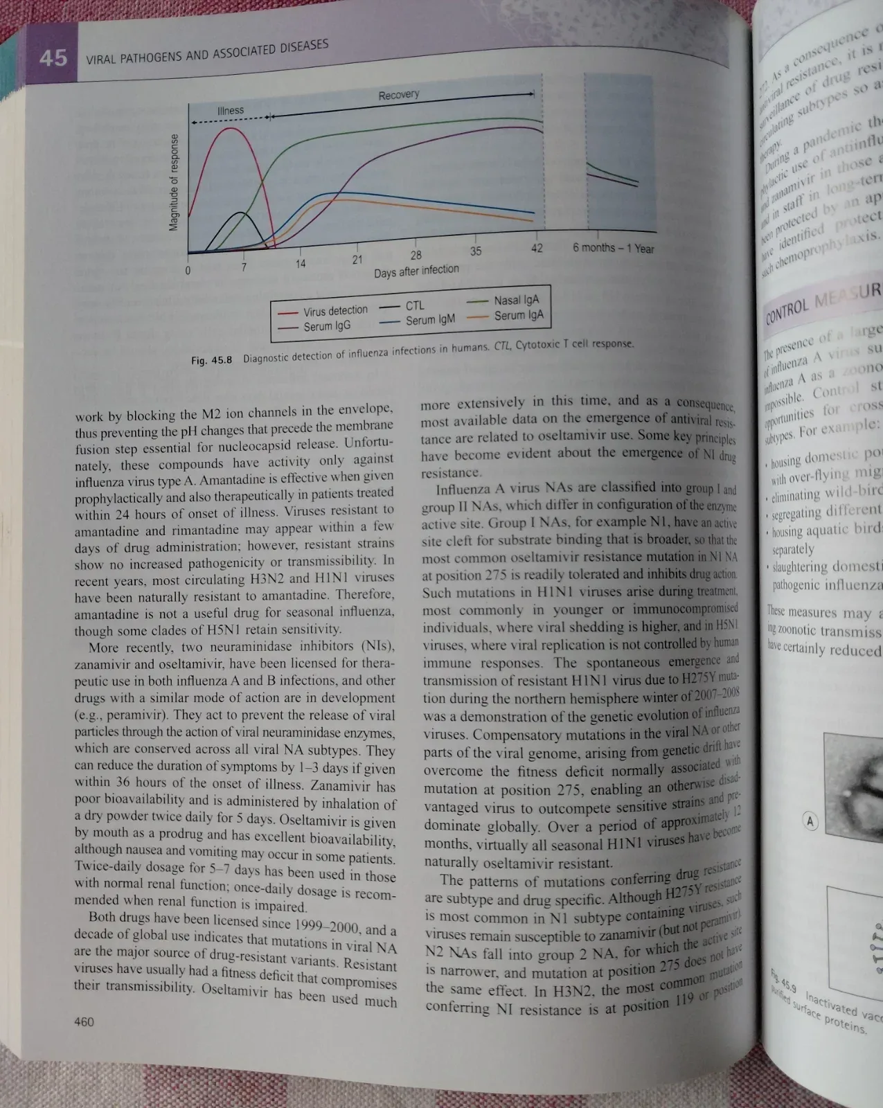 Medical Microbiology