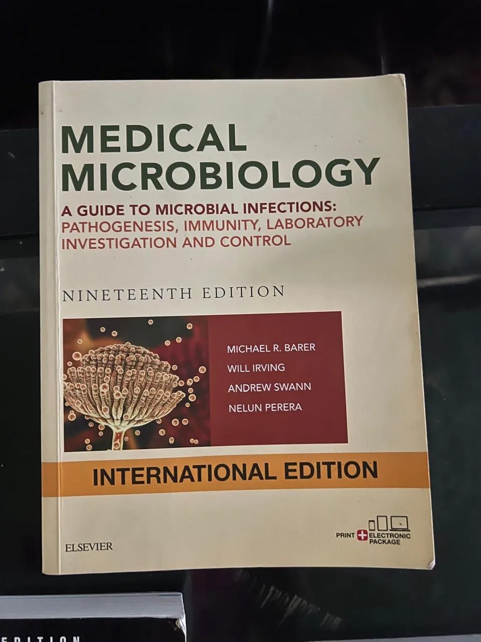 Medical Microbiology